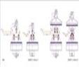 THS265-CHB4x25-ISO37-Type-2_ISO527-2-Type-5A_JIS-K6251-Type6_DIN53504-S2_DIN53504-S2_EN60811-3-2-Fig
